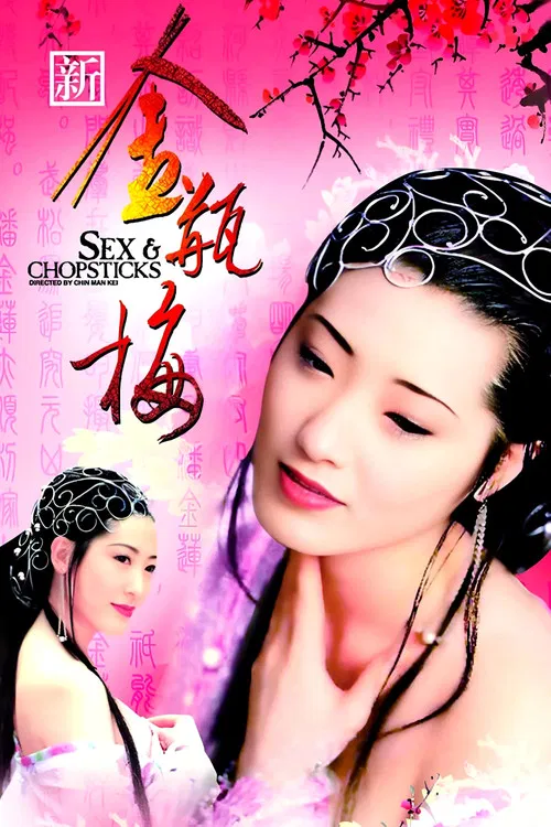 新金瓶梅海报