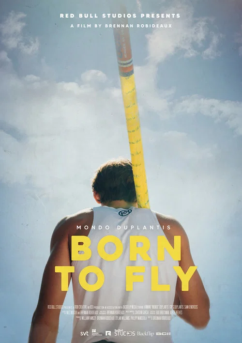 Born to Fly海报