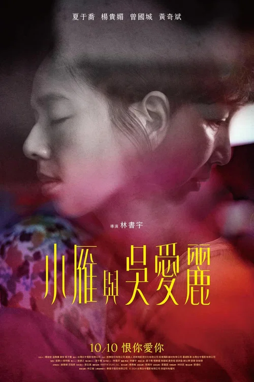小雁与吴爱丽海报