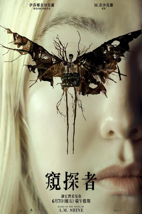 神秘窥视海报