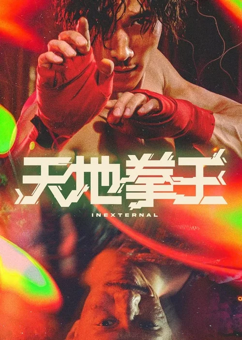 天地拳王海报