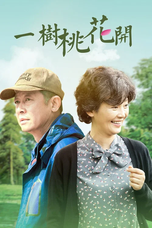 一树桃花开海报