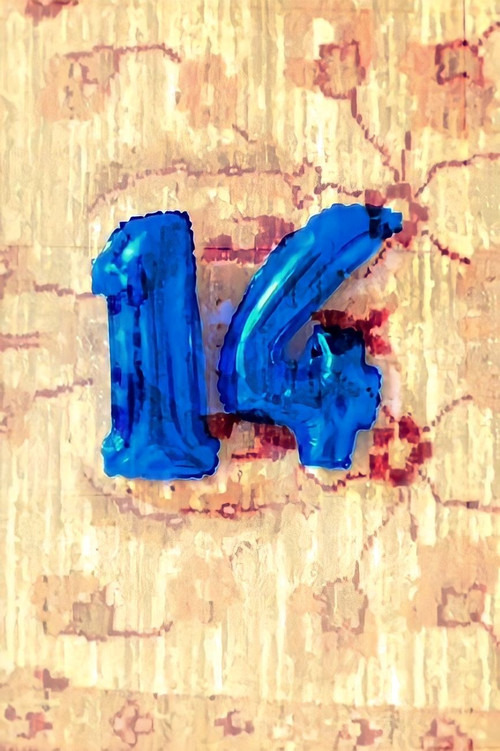 14海报