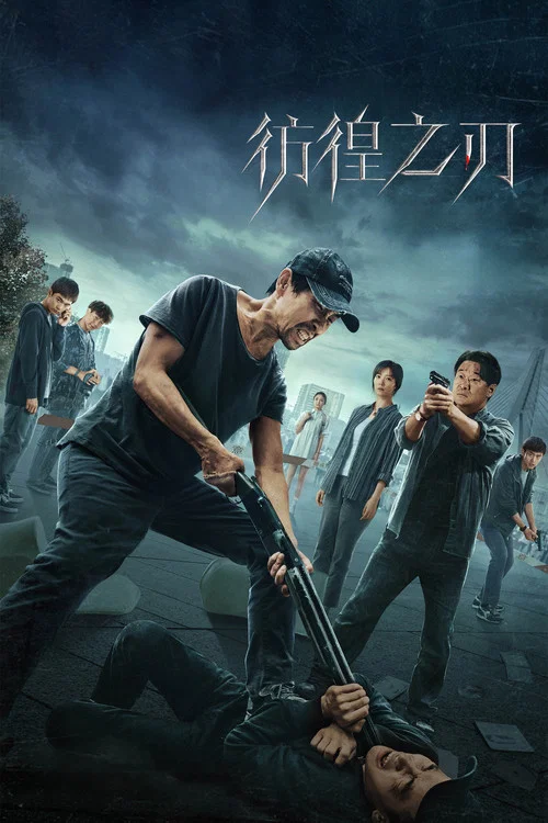 彷徨之刃海报