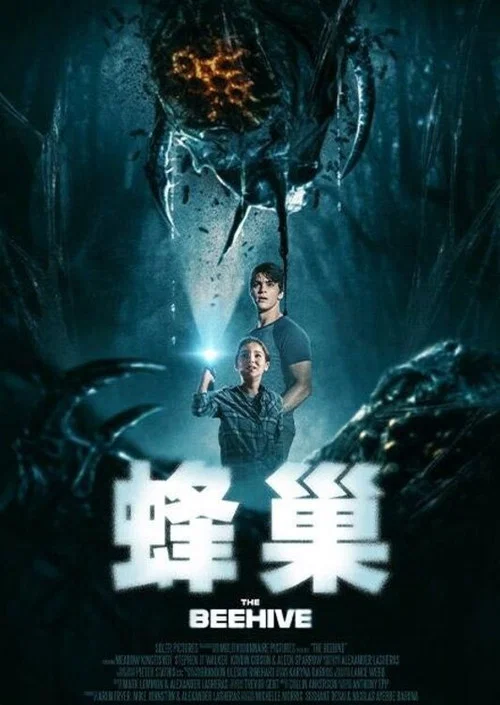 蜂巢海报