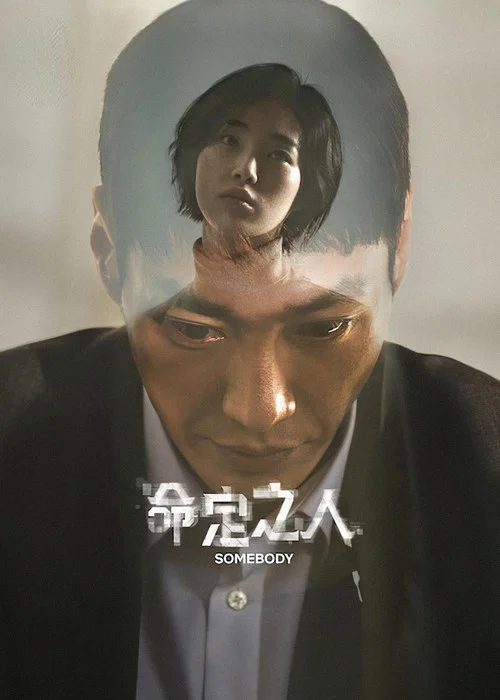 命定之人海报