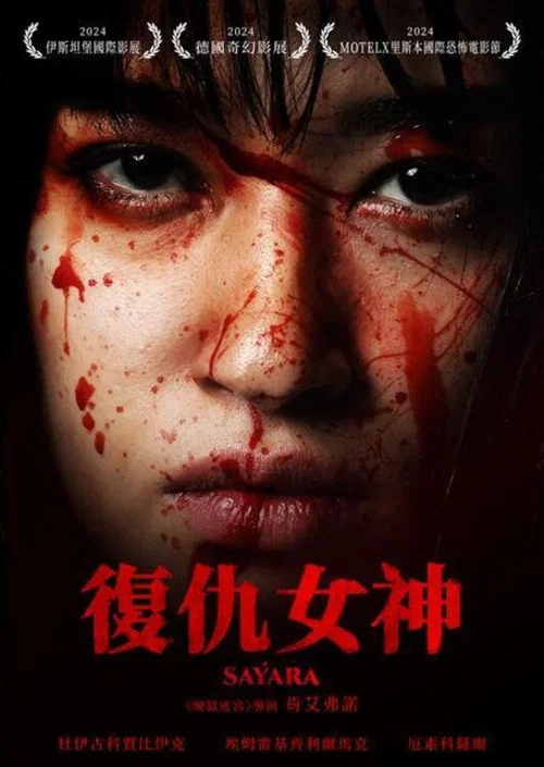 复仇女神海报