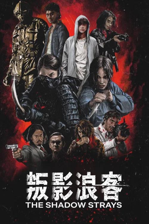 叛影浪客海报