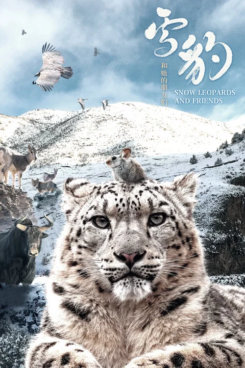 雪豹和她的朋友们海报