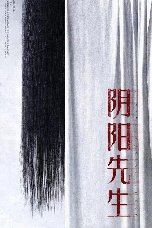 阴阳先生海报