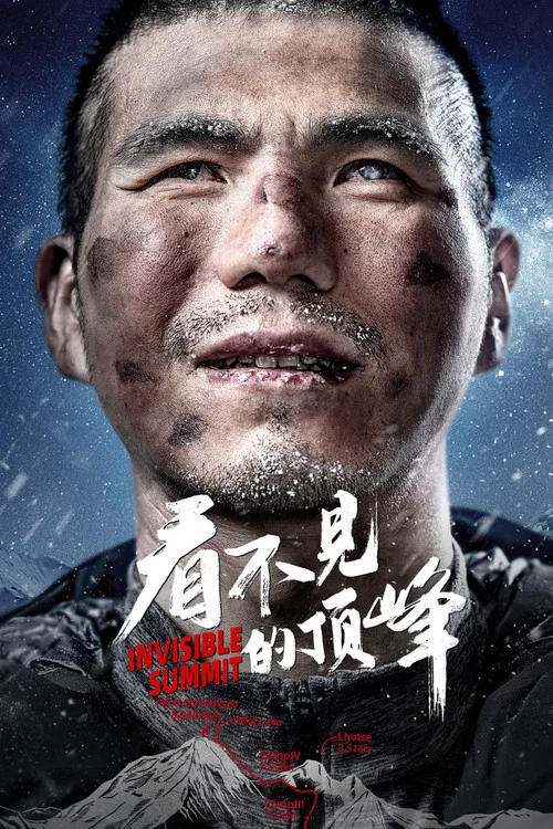 看不见的顶峰海报