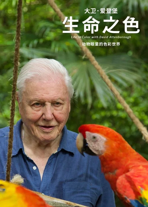 生命之色海报