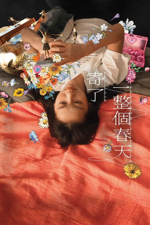 寄了一整个春天海报