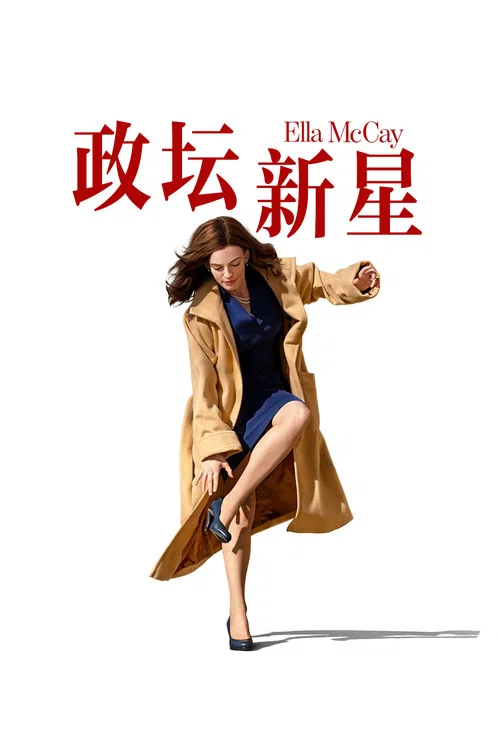 不完美的完美海报