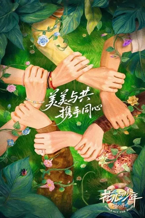 花儿与少年海报