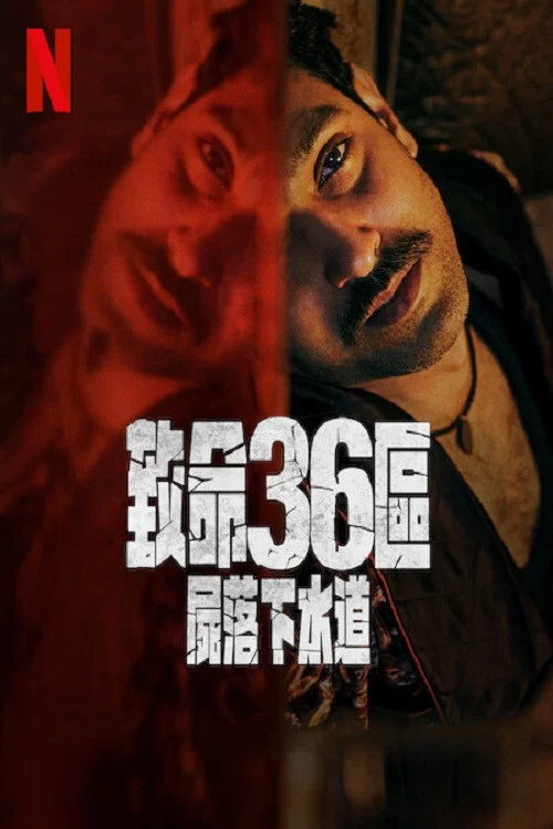 致命36区海报