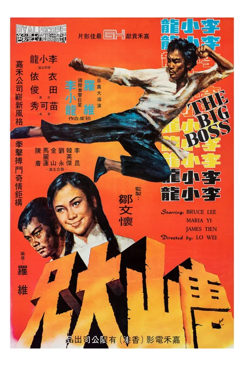 唐山大兄海报