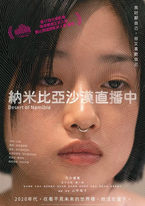 纳米比亚的沙漠海报