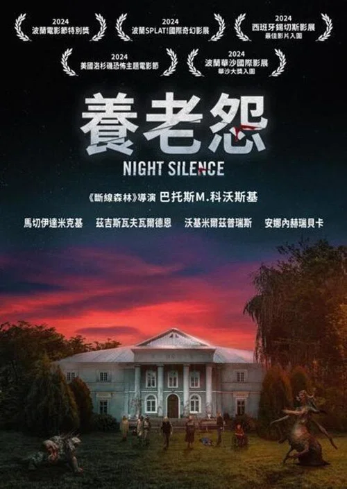 寂静之夜海报