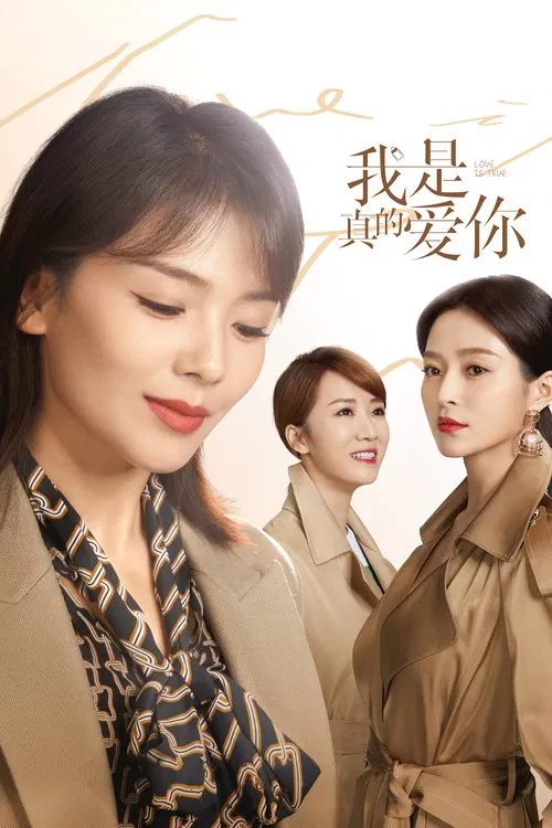 我是真的爱你海报