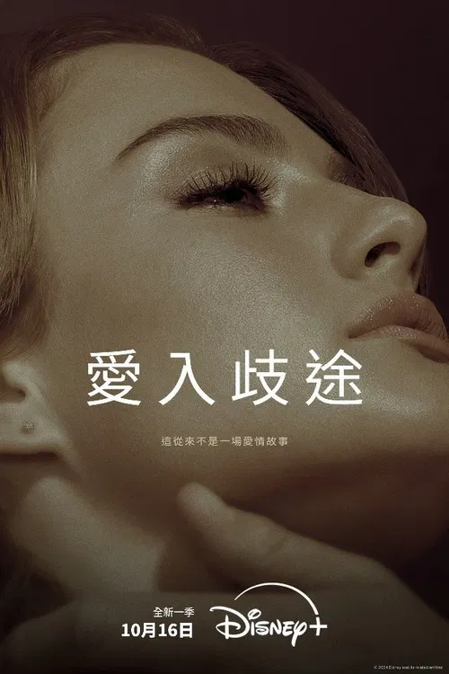 爱入歧途海报