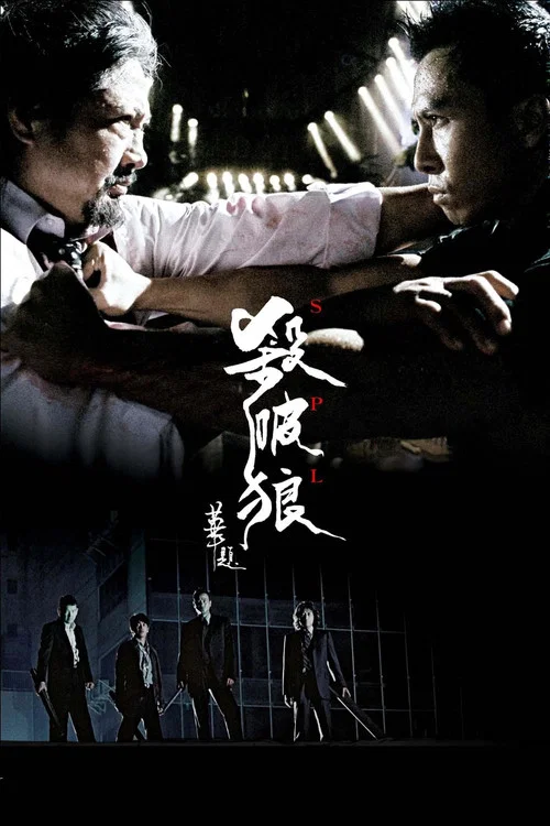 杀破狼海报