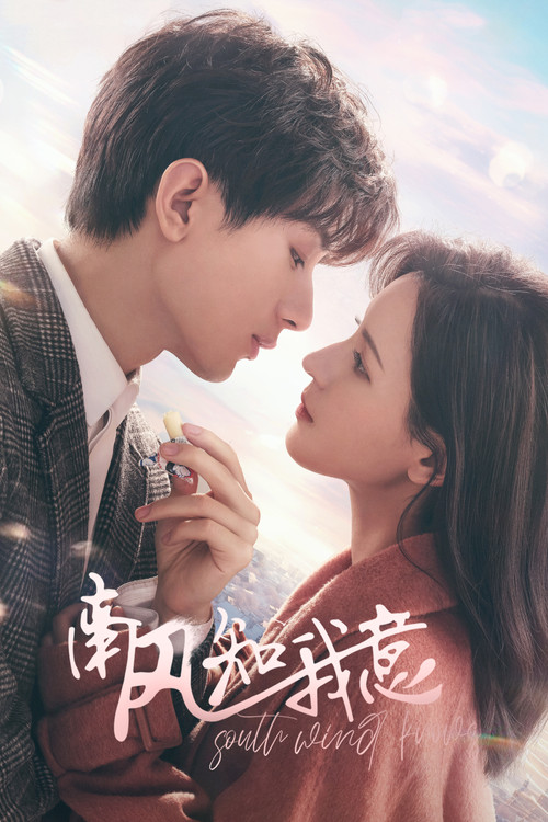南风知我意海报