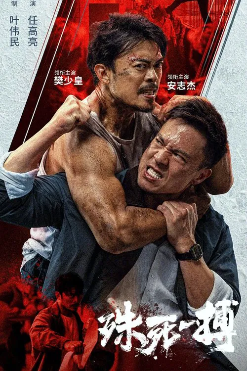 殊死一搏海报