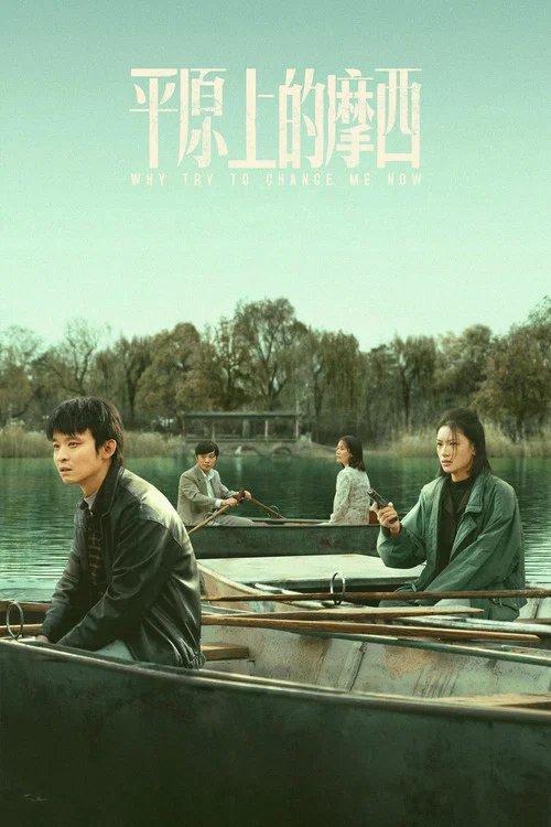 平原上的摩西海报