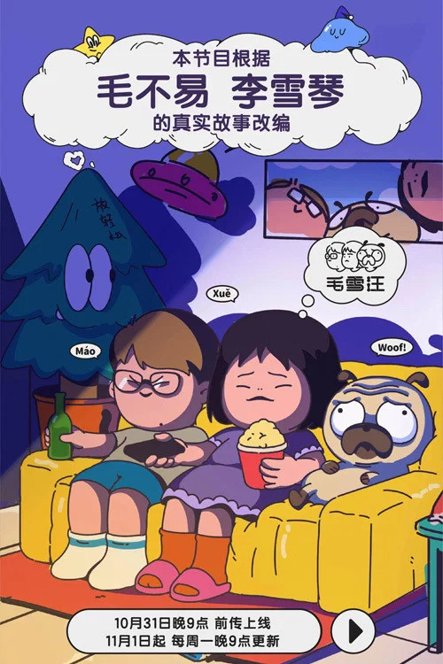 毛雪汪海报