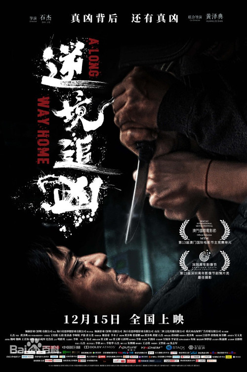 逆境追凶海报
