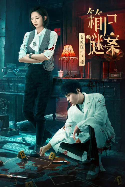 女侦探司马楠之箱尸谜案海报