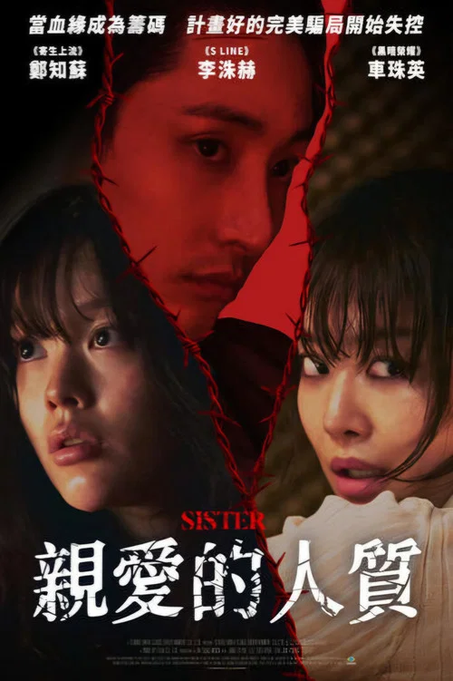 姐妹海报