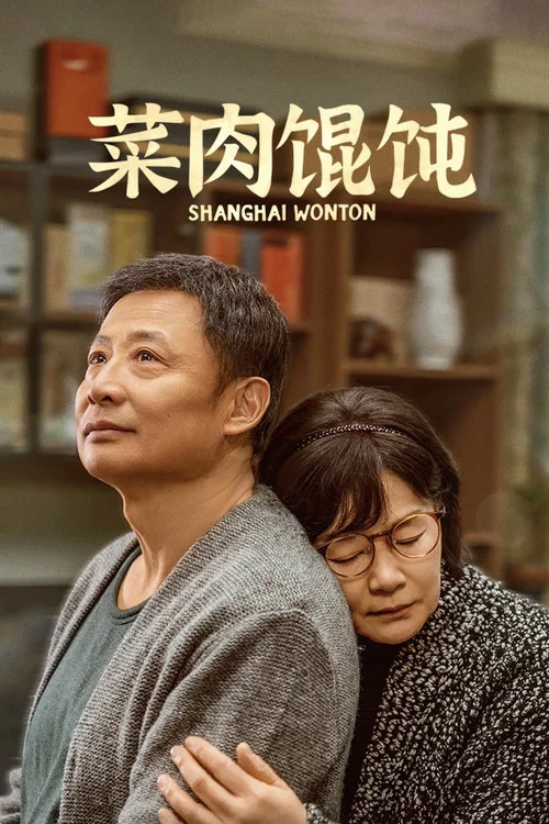 菜肉馄饨海报