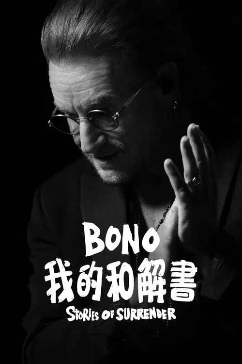波诺：救赎之路海报