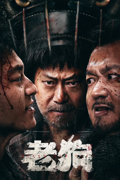 老狗海报