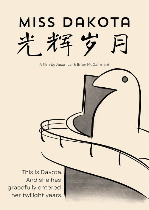光辉岁月海报