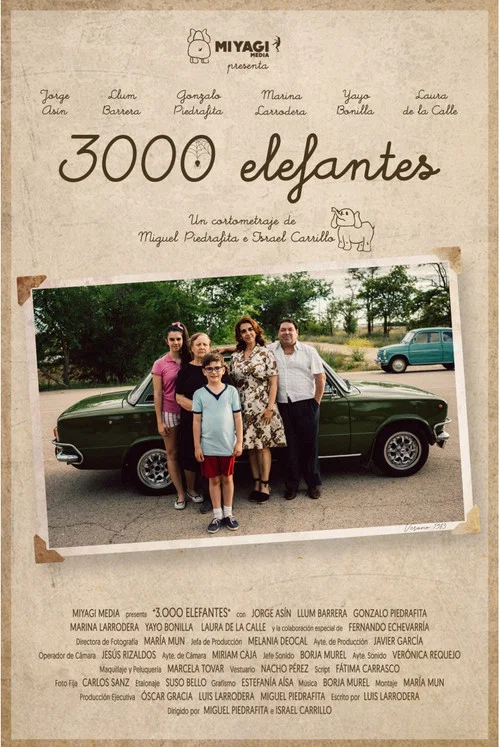 3000 elefantes海报