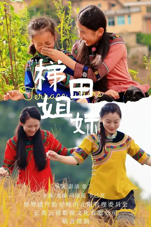 梯田姐妹海报