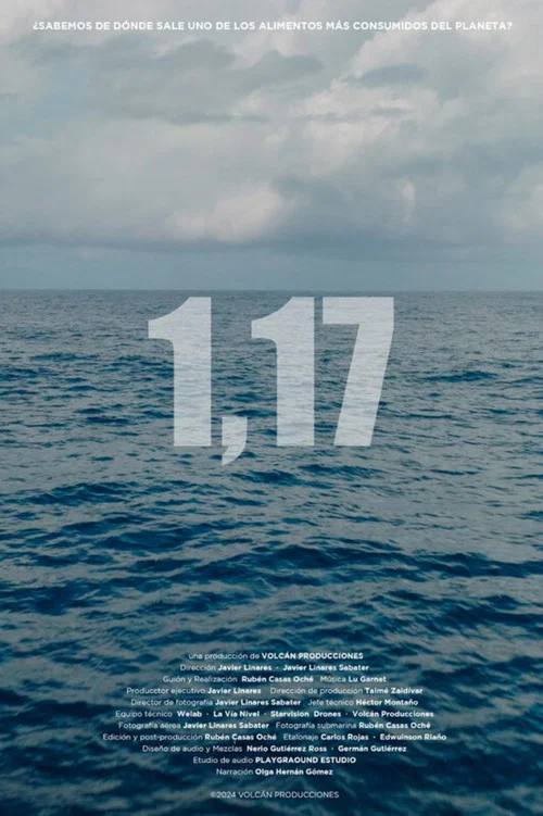 1,17海报