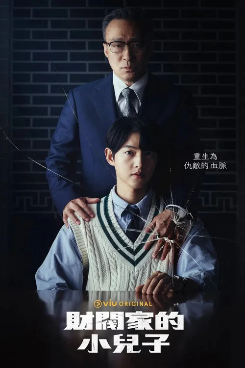 财阀家的小儿子海报