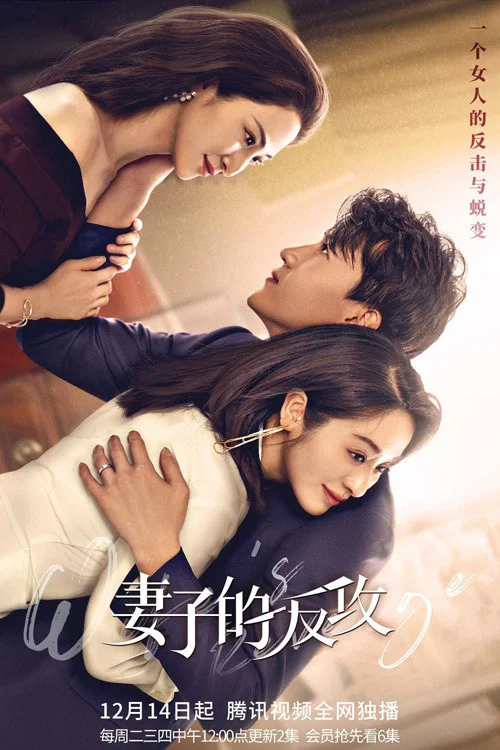 妻子的反攻海报
