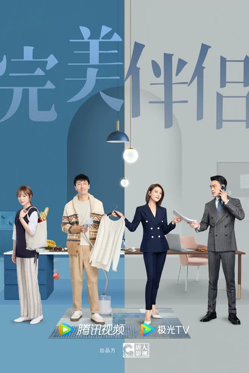 完美伴侣海报
