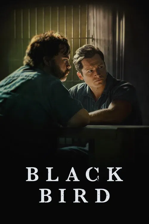 Black Bird海报