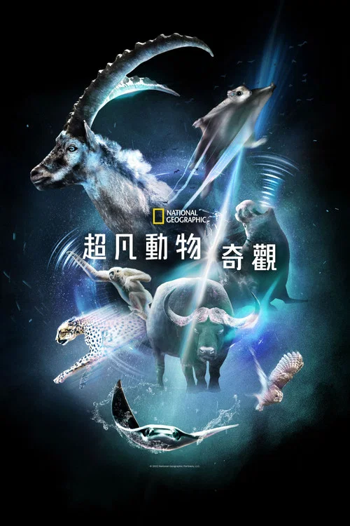 超凡动物奇观海报