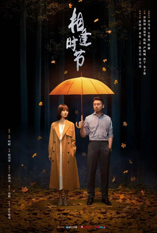 相逢时节海报