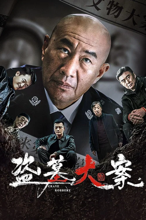 盗墓大案海报