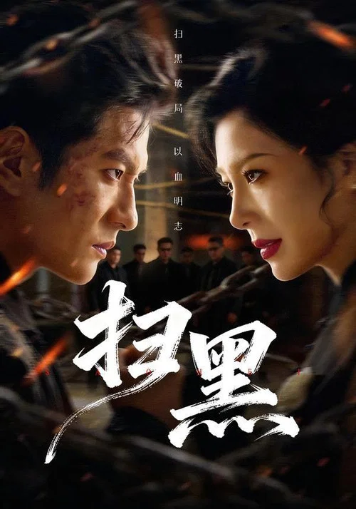 扫黑（2026）海报