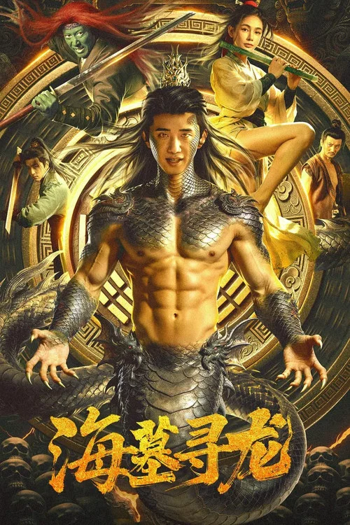 海墓寻龙海报
