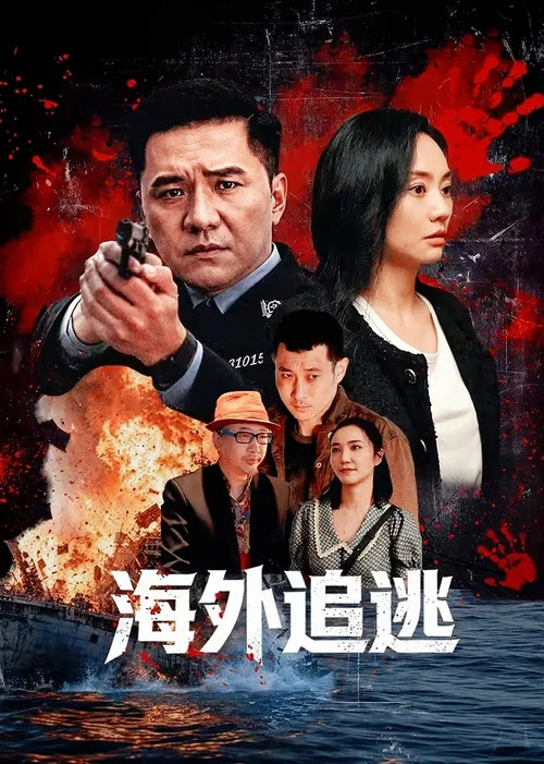 海外追逃海报